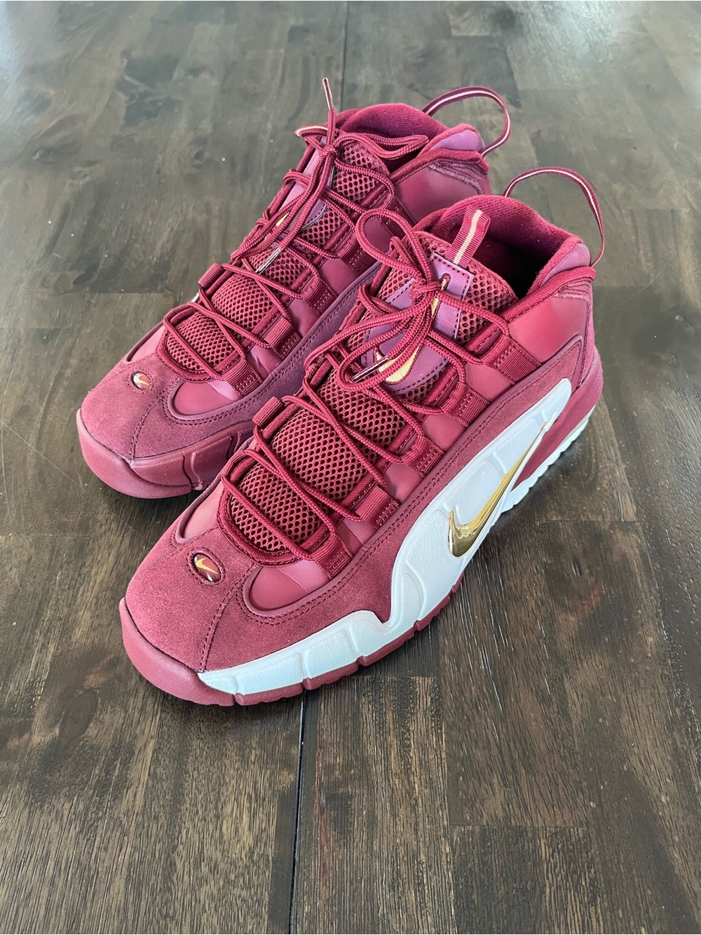 Nike Air Max Penny House Party